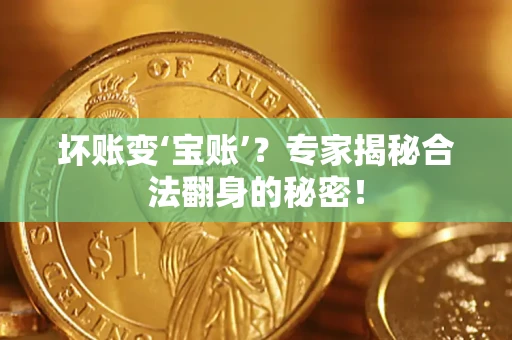 北京坏账变‘宝账’？专家揭秘合法翻身的秘密！