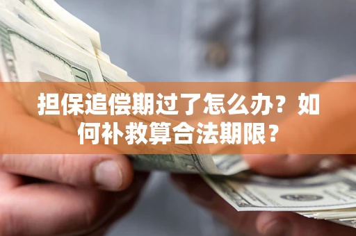 北京担保追偿期过了怎么办？如何补救算合法期限？